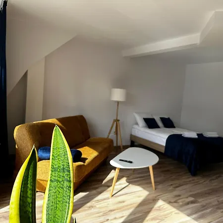 招待所 Goscinne Nad Morzem 莱鲍